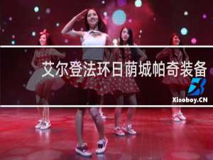 艾尔登法环日荫城帕奇装备
