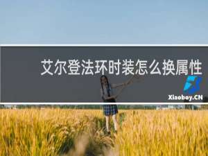 艾尔登法环时装怎么换属性