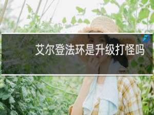 艾尔登法环是升级打怪吗