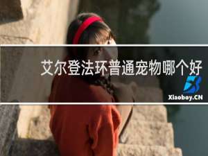 艾尔登法环普通宠物哪个好