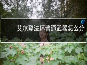 艾尔登法环普通武器怎么分