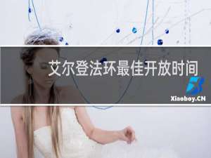 艾尔登法环最佳开放时间
