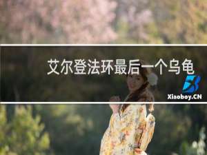 艾尔登法环最后一个乌龟