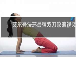 艾尔登法环最强双刀攻略视频