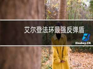 艾尔登法环最强反弹盾