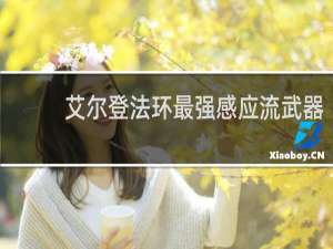 艾尔登法环最强感应流武器