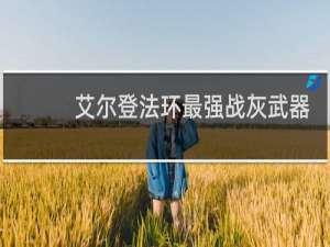艾尔登法环最强战灰武器