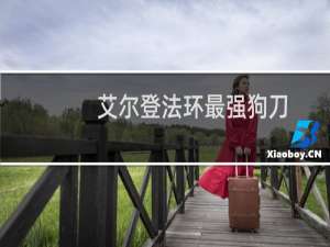 艾尔登法环最强狗刀