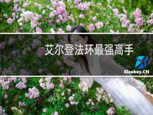 艾尔登法环最强高手