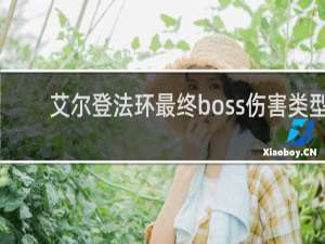 艾尔登法环最终boss伤害类型