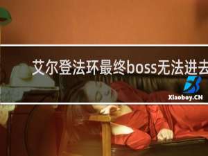 艾尔登法环最终boss无法进去