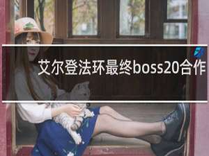 艾尔登法环最终boss 合作
