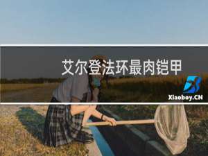 艾尔登法环最肉铠甲