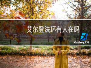 艾尔登法环有人在吗