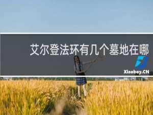 艾尔登法环有几个墓地在哪