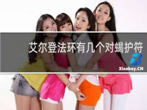 艾尔登法环有几个对蝎护符