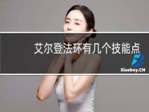 艾尔登法环有几个技能点