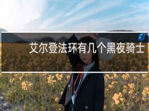 艾尔登法环有几个黑夜骑士