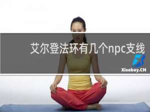 艾尔登法环有几个npc支线