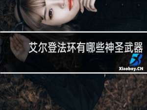 艾尔登法环有哪些神圣武器