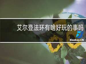 艾尔登法环有啥好玩的事吗
