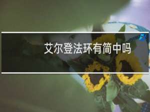 艾尔登法环有简中吗
