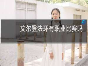 艾尔登法环有职业比赛吗