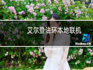 艾尔登法环本地联机