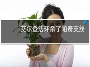 艾尔登法环杀了帕奇支线