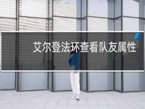 艾尔登法环查看队友属性