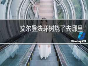 艾尔登法环树烧了去哪里