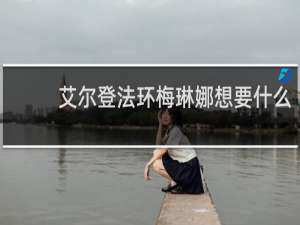 艾尔登法环梅琳娜想要什么