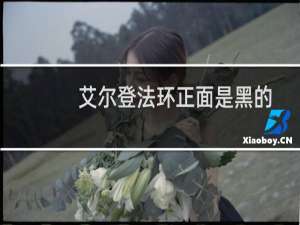 艾尔登法环正面是黑的