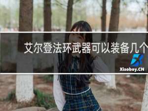 艾尔登法环武器可以装备几个