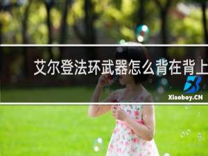艾尔登法环武器怎么背在背上