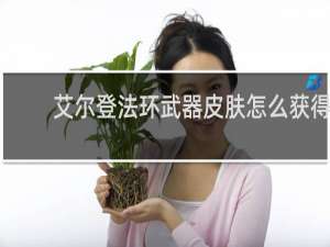 艾尔登法环武器皮肤怎么获得