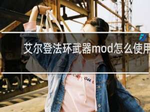 艾尔登法环武器mod怎么使用