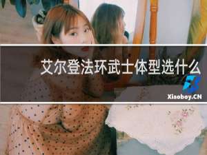 艾尔登法环武士体型选什么