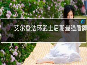 艾尔登法环武士后期最强盾牌