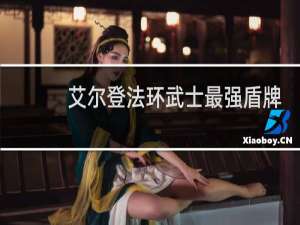 艾尔登法环武士最强盾牌