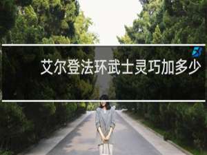 艾尔登法环武士灵巧加多少