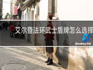 艾尔登法环武士盾牌怎么选择