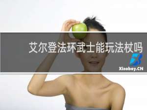 艾尔登法环武士能玩法杖吗
