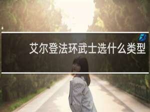 艾尔登法环武士选什么类型