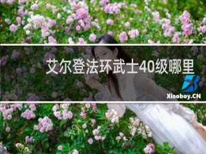 艾尔登法环武士40级哪里