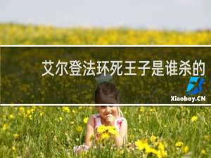 艾尔登法环死王子是谁杀的