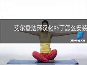 艾尔登法环汉化补丁怎么安装