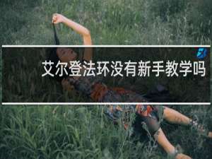 艾尔登法环没有新手教学吗