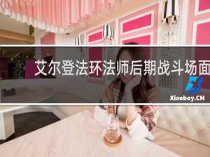 艾尔登法环法师后期战斗场面