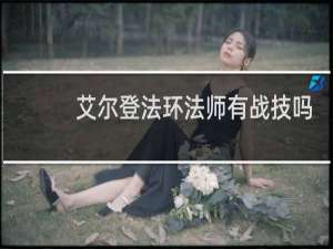 艾尔登法环法师有战技吗